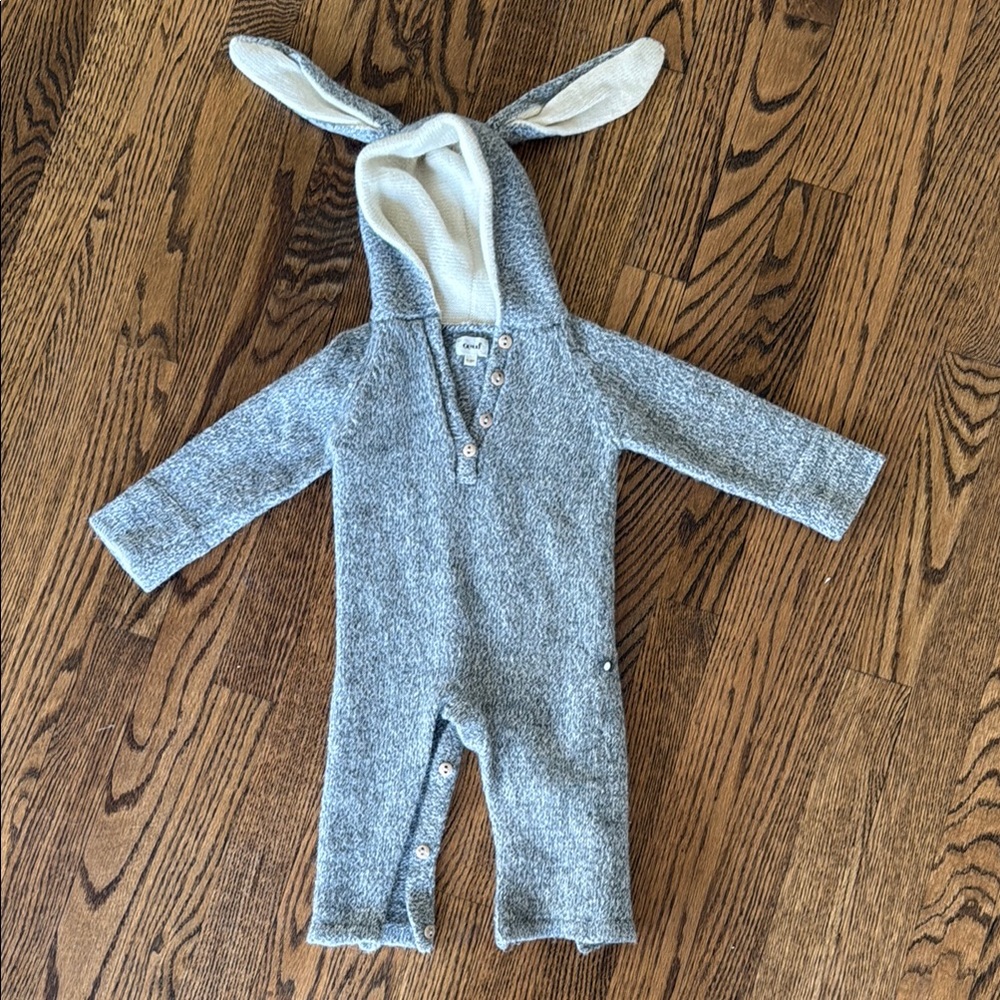 Gray Hooded Baby Onesie with Bunny Ears